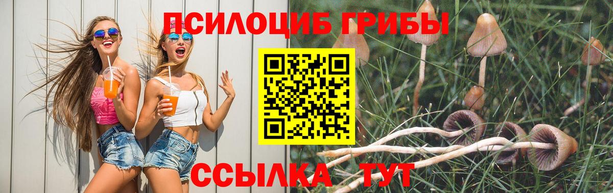 Галлюциногенные грибы Magic Shrooms  Вход с VPN  Кстово 